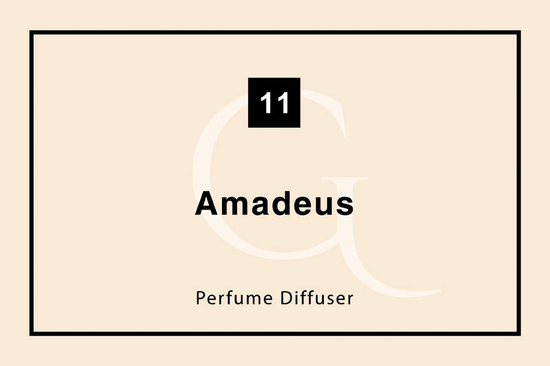 شماره ۱۱ Amadeus