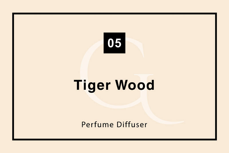 شماره ۵ Tiger Wood