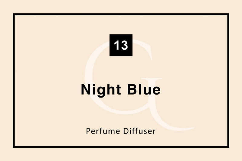 شماره ۱۳ Night Blue