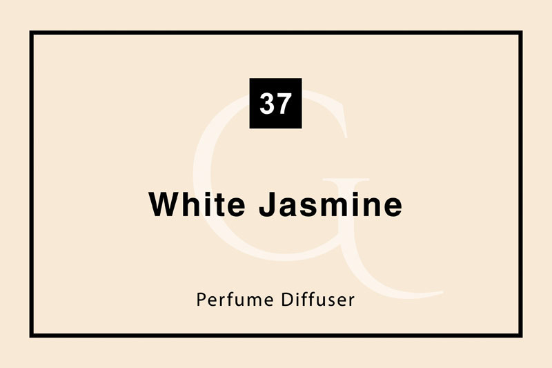شماره ۳۷ White Jasmine